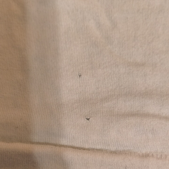 Teddy Fresh Tee - Picture 6 of 10